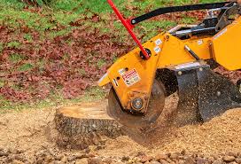 Best Firewood Processing and Delivery  in South Run, VA